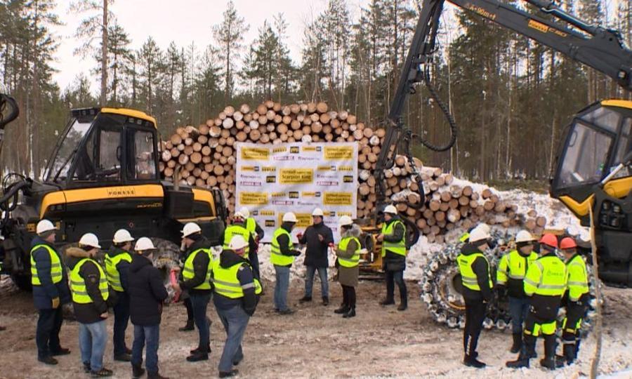 Рекорды в лесозаготовке готовятся ставить в Шенкурском районе